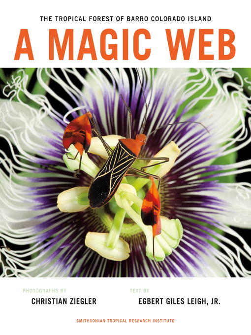 Title details for A Magic Web by Christian Ziegler - Available